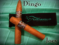 Kangaroo Joey